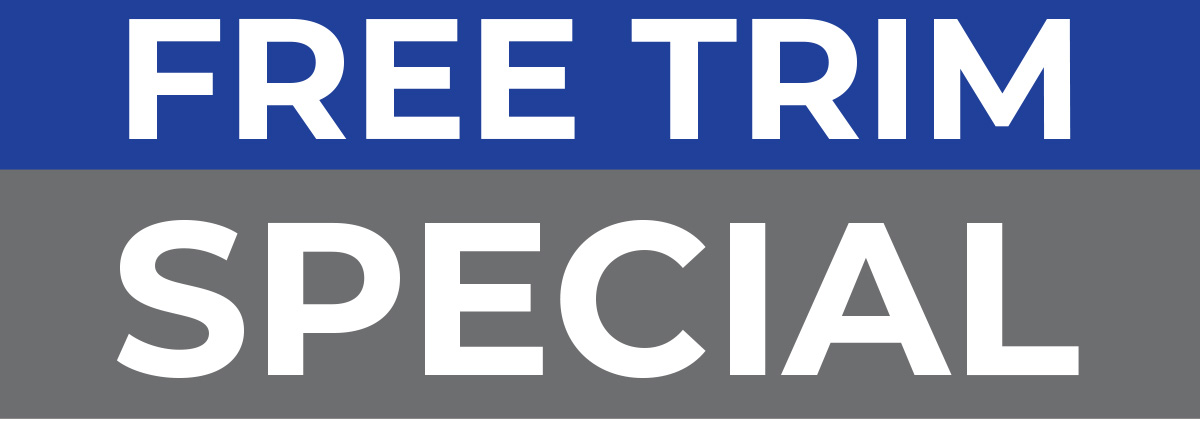 Free Trim Special