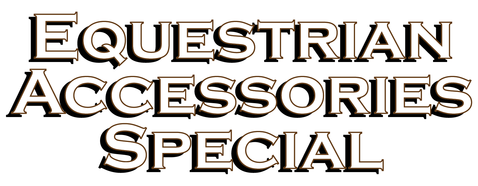 Equestrian Accessories Special